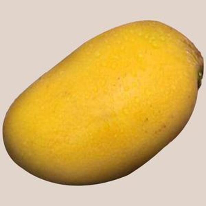 Mango - Neelam