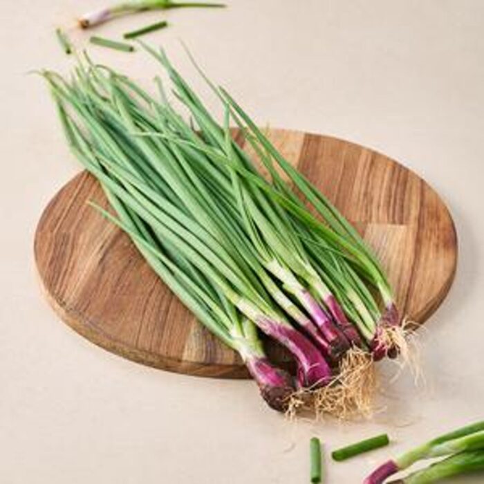 Spring Onion - With roots