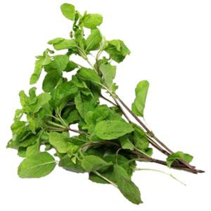 Tulsi Leaves