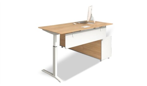 Swadeshi Bharat  Desk with Motorized Height Adjustment
