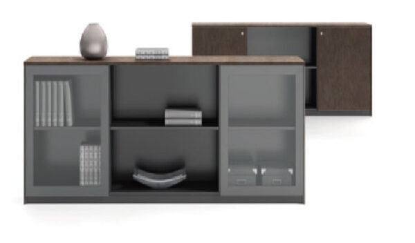 Swadeshi Bharat  Filing Credenza & Bookshelf With Glass Doors