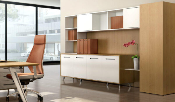 Swadeshi Bharat  Full Height Filing Cabinet & Book Shelf