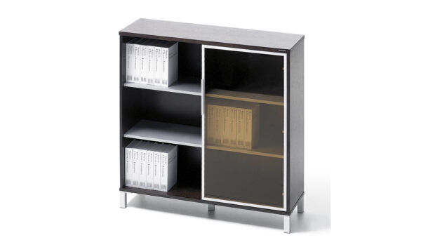 Swadeshi Bharat  Filing Cabinet With Glass Door