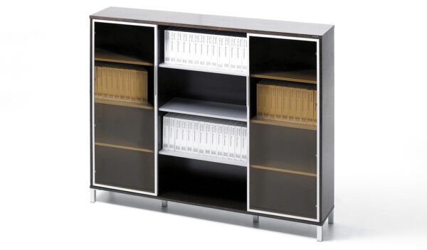 Swadeshi Bharat  Glass Door Bookshelf & Filing Cabinet