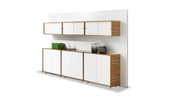 Swadeshi Bharat  Filing Cabinet & Book Shelf