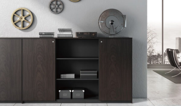 Swadeshi Bharat  Filing Cabinet & Book Shelf In Veneer